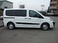 Fiat Scudo - Osc. Forte